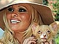Pamela Anderson relieves oil pet pressure | BahVideo.com