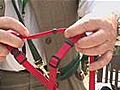 How To Put On A Dog Harness | BahVideo.com