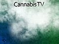 Cannabis tv HD | BahVideo.com