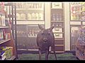 Owl City - Deer In The Headlights | BahVideo.com