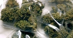 Should Autism Be Treated With Medical Marijuana  | BahVideo.com