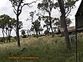 Nomad Serengeti Safari Camp with Africa Odyssey | BahVideo.com
