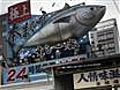 Mixed Global Reaction to Defeat of Tuna Ban | BahVideo.com