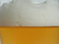 A Microbrew You Can Sip On | BahVideo.com