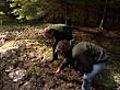Hidden woodland treasures | BahVideo.com