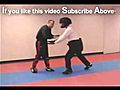 Two Hand Push Instructor Mike Preite Self  | BahVideo.com