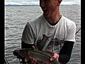 Phil the trout tickler | BahVideo.com