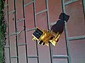 solar robot 1 | BahVideo.com