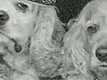 Cocker Spaniels Sing My Humps | BahVideo.com