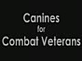 Assistance Dogs for Combat Veterans | BahVideo.com