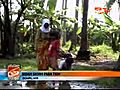 Liputan6 tv Kisah Sedih Para TKW | BahVideo.com