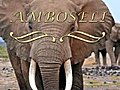 Nature Wonders AMBOSELI Kenya | BahVideo.com