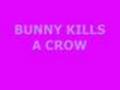 Bunny kills a crow | BahVideo.com