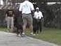 Sit Means Sit - Douglasville Dog Training - Humane Society | BahVideo.com