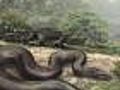 Ancient Fossil Find This Snake Could Eat a Cow  | BahVideo.com