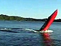 Boat Wheelie | BahVideo.com