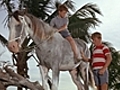 Flipper And The Horse Thieves | BahVideo.com