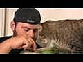 How To Make a MEAN KITTY Love U  | BahVideo.com