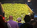 Just Like Those Apples | BahVideo.com