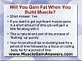Can You Build Muscle Burn Fat At The Same Time  | BahVideo.com