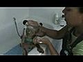 Menomonie Dog Groomer Tip Giving A Dog A Bath | BahVideo.com
