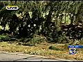 Fatal Motorcycle Crash | BahVideo.com