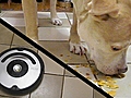 Roomba Versus Dog | BahVideo.com