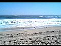Outer Banks Beach Birds and Bikinis in Kill Devil Hills | BahVideo.com
