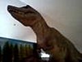 dinosauro nel museo | BahVideo.com