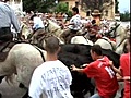 La feria devient tradition en Bresse | BahVideo.com