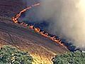 Fire burns 375-acres east of Mt Diablo | BahVideo.com
