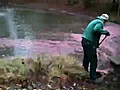 Spring cleaning at Newport News Park | BahVideo.com