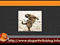 Dog Dancing for Dog Arthritis Treatment flv | BahVideo.com