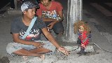 Denuncian trato cruel a monos enmascarados | BahVideo.com
