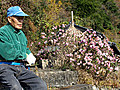 Japans Senioren Demographisches Labor | BahVideo.com