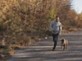 Jogging with a dog | BahVideo.com