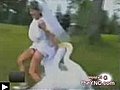 Cygne et mariage ne font pas bon m nage | BahVideo.com