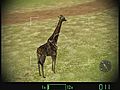 Jambo Safari Animal Rescue trailer | BahVideo.com