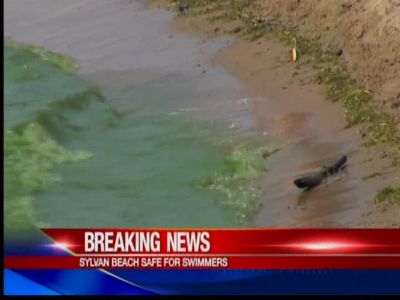 Water off Sylvan Beach once again safe for  | BahVideo.com