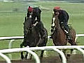 Irish Derby Interview - The Curragh | BahVideo.com