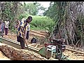 Life in DR Congo s rainforest | BahVideo.com