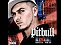 Pitbull Feat T-Pain amp 8212 Shake Senora | BahVideo.com