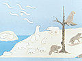 Arctic Tapestry | BahVideo.com