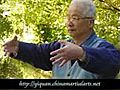 Dachengquan Yiquan training of zhan zhuang by Yu Yongnian | BahVideo.com