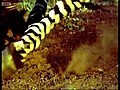Triumph of the herbivores - Life of Mammals - BBC | BahVideo.com