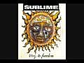 Sublime - Chica Me Tipo | BahVideo.com
