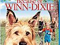 Because of Winn-Dixie Blu-ray | BahVideo.com