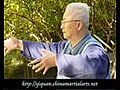 Yiquan training of zhan zhuang by Yu Yongnian | BahVideo.com