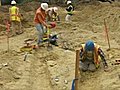 Ancient whale bones found at US zoo | BahVideo.com
