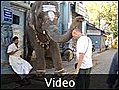 11 Will amp 039 s elephant blessing - Madras India | BahVideo.com